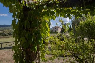 Villa Lavanda - San Venanzo - 1
