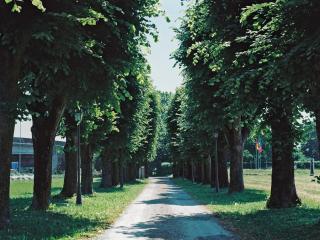 Villa Meli Lupi - Residenze Temporanee - Parme - 6