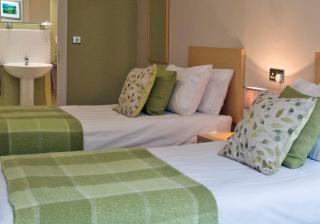 Rose and Crown Hotel - Carmarthen - 9