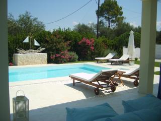 Villa Evanna - Lefkimmi - 4