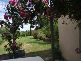 soleil et farniente - Cervione - 9