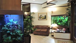 Hotel Accursio - Milano - 8