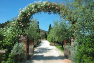 Fontanaro Farm and Culinary School - Paciano - 0