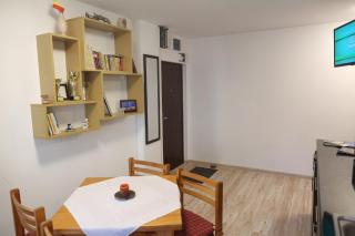 Central Place Apartment Timisoara - 4