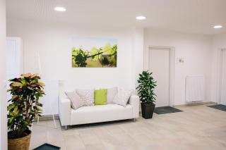 Steira-Studios - Ehrenhausen - 0