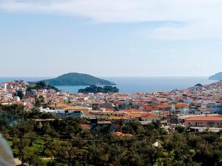 Villa Krini - Città di Skiathos - 1