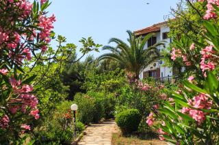 Studios Avra - Agios Georgios - 8