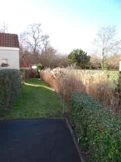 Villa Sérena la forêt et la plage à quelques minutes! - Camiers - 8