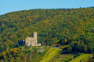 Moseltalblick - Bernkastel-Kues - 7