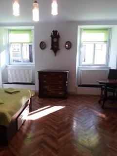 Charming downtown studio - Braşov - 5