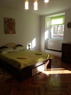 Charming downtown studio - Braşov - 9