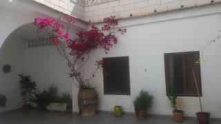 Apartamentos GELDO - Geldo - 8