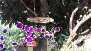 Apartments Matkovic - Kotor - 9