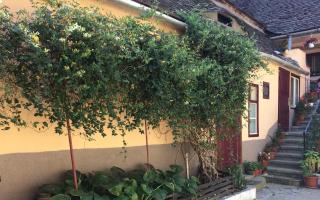 Iony Apartament - Sibiu - 1