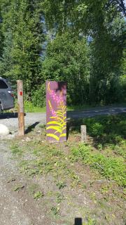 Talkeetna Fireweed Cabins - 7