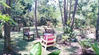 Cabana Bambu - Sapiranga - 6