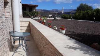 The Black Horse Canarias - Adults Only - 4