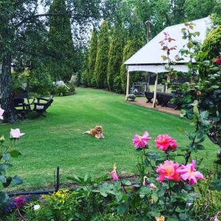 Dingup House - Manjimup - 8