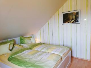 Privatzimmer mit Aussicht - Pirna - 5