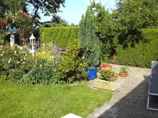 Engel Ringsheim - Ringsheim - 8