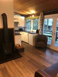 Loch Aweside Forest Cabins - Dalavich - 2