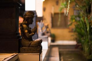 Suntari Homestay - Ubud - 7