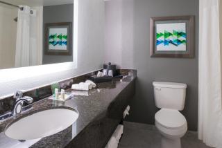 Holiday Inn Hotel and Suites Beaumont-Plaza I-10 & Walden by IHG - 7