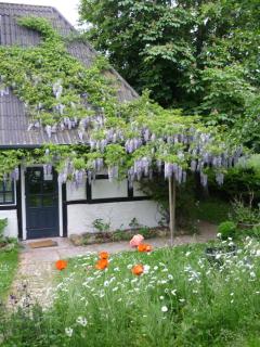 Chestnut Cottage - Rantzau - 0