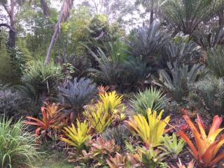 Ancient Gardens Guesthouse & Botanical Gardens - Eudlo - 3