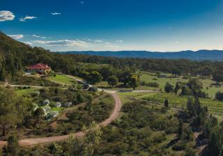 Mudgee Homestead Guesthouse - Mudgee - 0