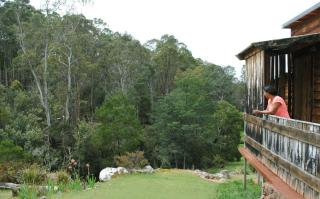 Minnow cabins Lower Beulah - Sheffield - 4