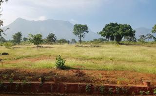 AARRAAMS Farms & Resorts - Masinagudi - 8