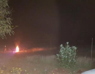 AARRAAMS Farms & Resorts - Masinagudi - 4