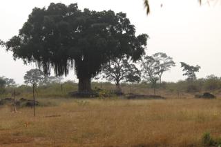 AARRAAMS Farms & Resorts - Masinagudi - 2