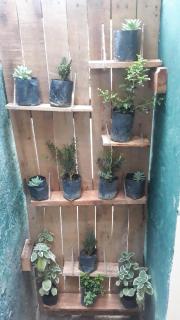 Coco Hostels - Weligama - Weligama - 1