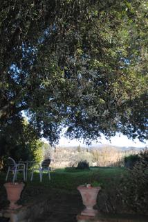 Agriturismo Fattoria di Malavolta - Florence - 0