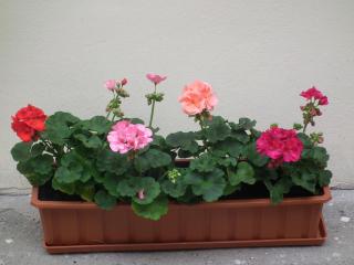 Apartament BBB48 - Cluj-Napoca - 3