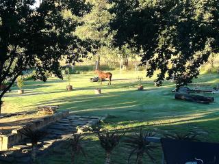 Ladybrand Heritage House - 5