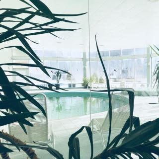 Hotel Regina Terme - Leukerbad - 8