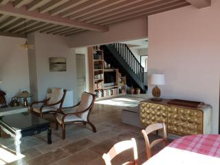 le Gecko en Provence - La Roque-sur-Pernes - 3