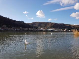 Logis Hotel Schaeffer- Restaurant Le Saint Georges - 1