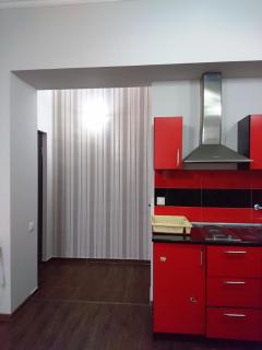 Luxury Apartment in the Centre of Yerevan - Erevan - 3