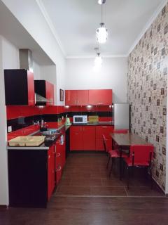 Luxury Apartment in the Centre of Yerevan - Erevan - 5