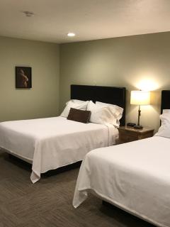 Driftwood Lodge - Springdale - 5