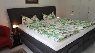Loft Orchidee 2 - Überlingen - 7
