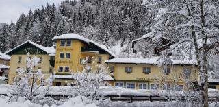 Hotel Hubertushof - Flachau - 4