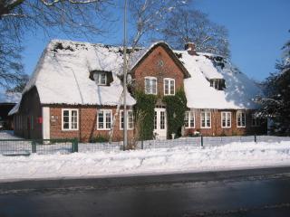 Reiterhof Wollesen - Süderlügum - 2