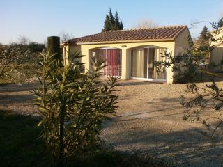 Pervenches - Jonquerettes - 5