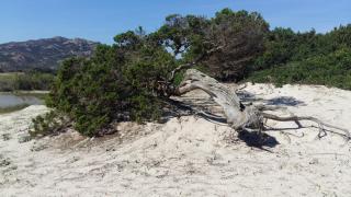 Villa Le Ginestre - 2