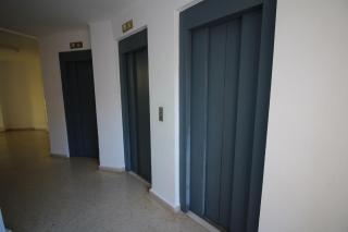 Kumquat apartment - 3